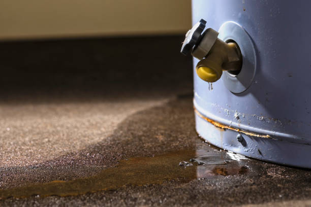 Best Water damage restoration near me  in Lake Secession, SC