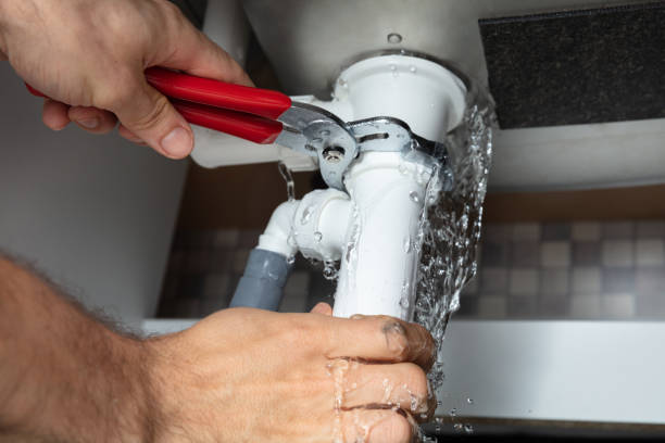 Best Mold removal after water damage  in Lake Secession, SC