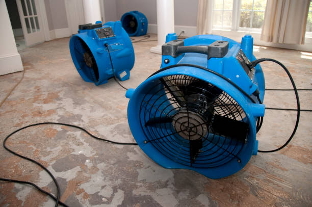 Fire Damage Restoration in Lake Secession, SC