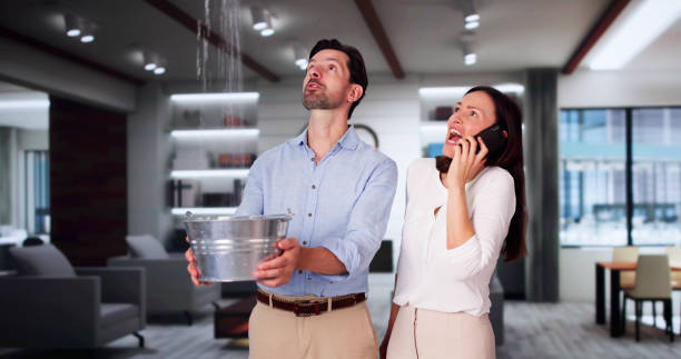 Reliable Lake Secession, SC Water damage restoration Solutions